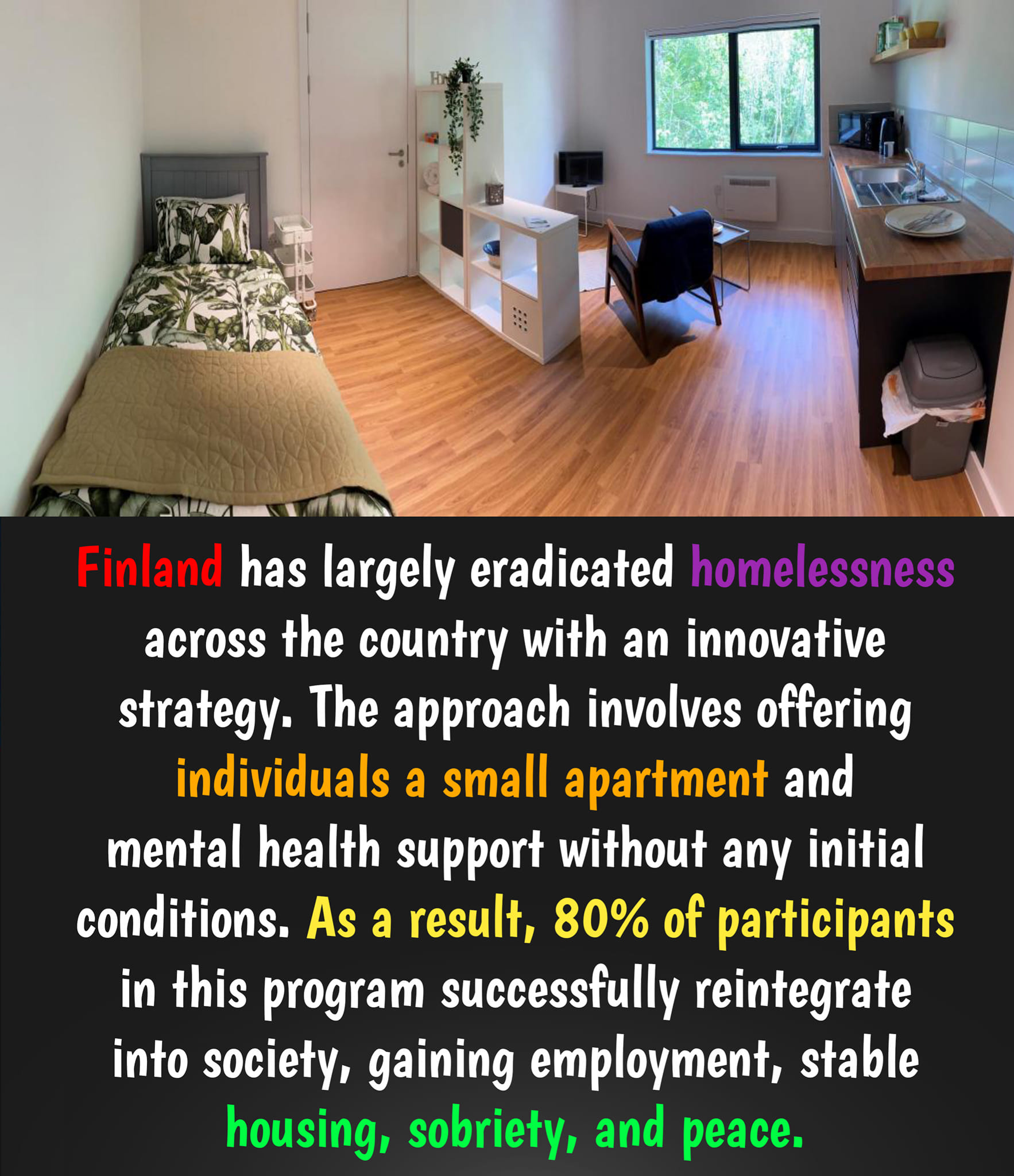 The meme is a humorous image of a small, cluttered apartment with a single bed, a desk, and a kitchenette. The text in the image reads: "In Finland, 80% of the population lives in an apartment like this. The rest live in tiny houses, apartments, or even just a hole in the ground. This is the average Finnish home."